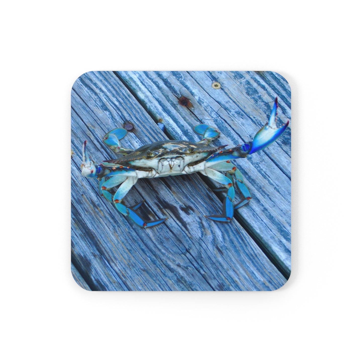 MD Crab Corkwood Coaster Set