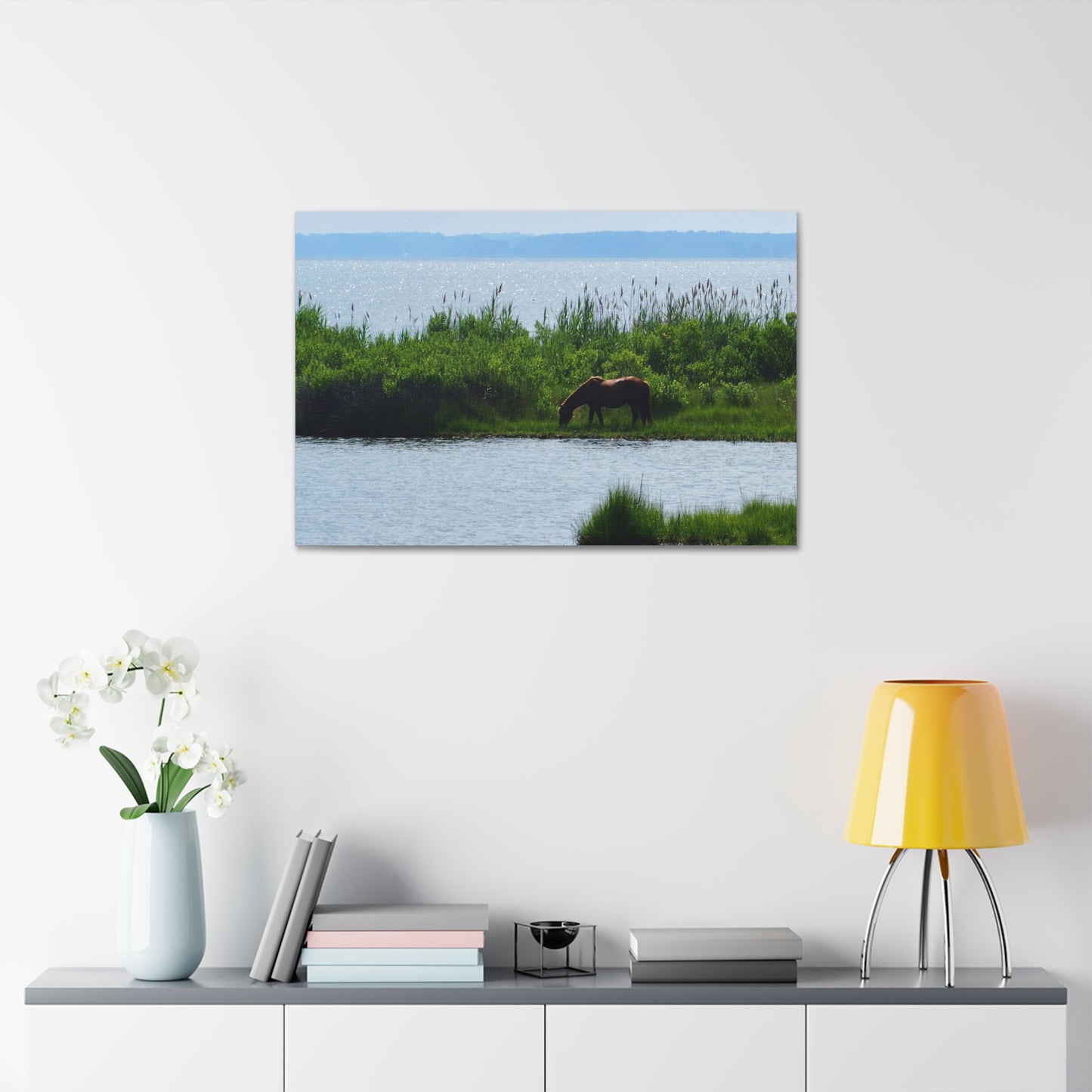 Horse on Assateaque Island - Stretched Canvas