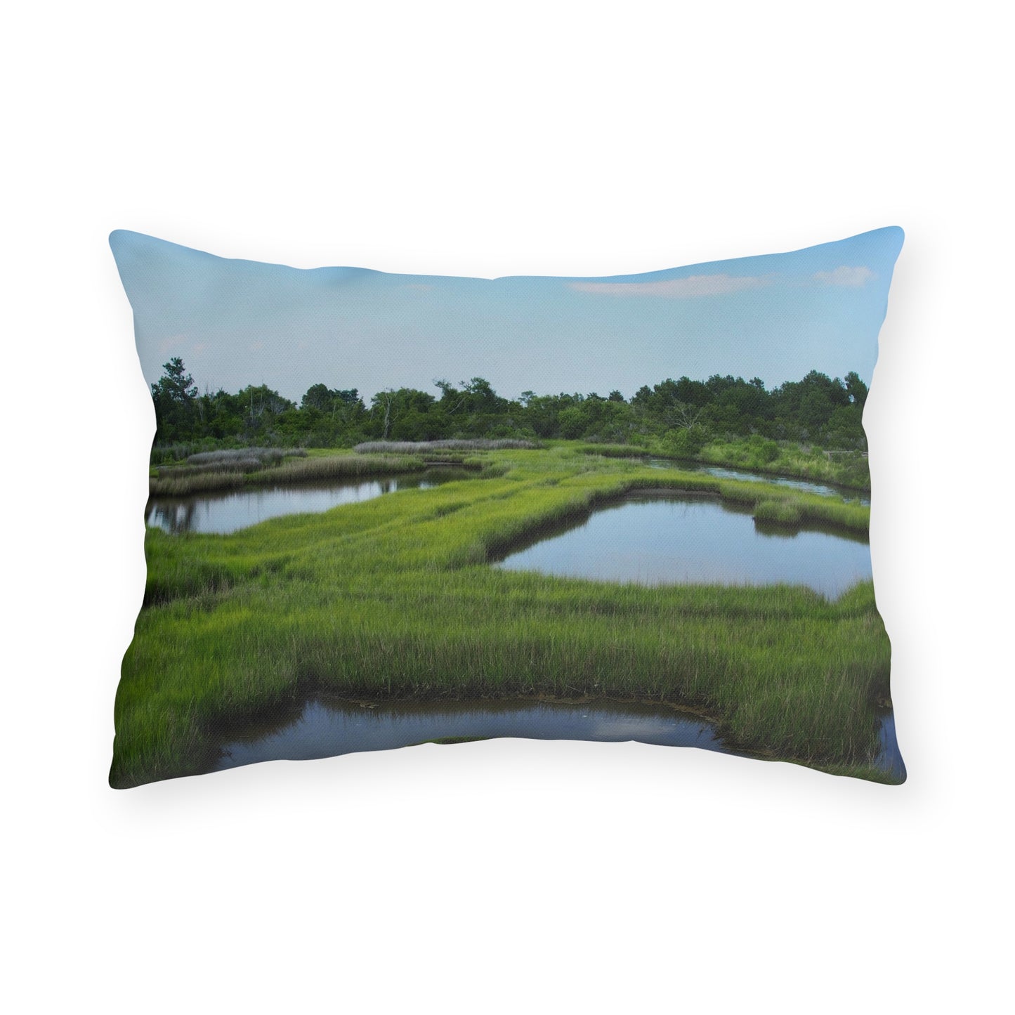 Outdoor Pillows - Assateaque Marsh