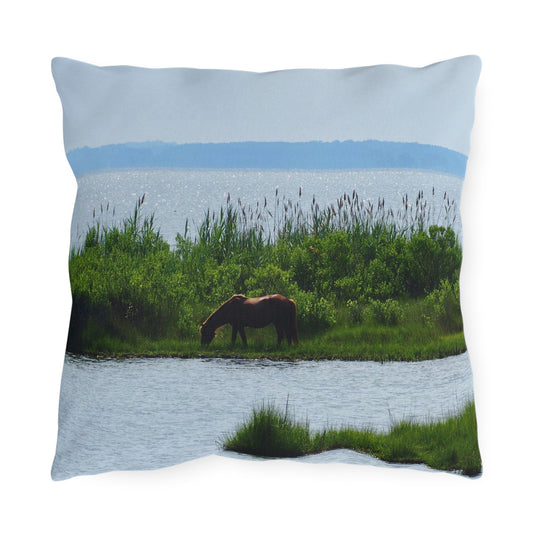 Outdoor Pillows- Horse on Assateaque Island